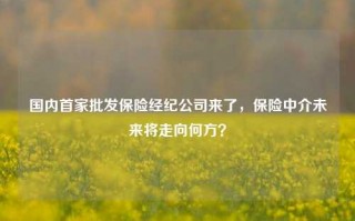 国内首家批发保险经纪公司来了，保险中介未来将走向何方？