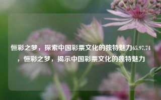 恒彩之梦，探索中国彩票文化的独特魅力65.97.74，恒彩之梦，揭示中国彩票文化的独特魅力，恒彩之梦，揭示中国彩票文化的独特魅力