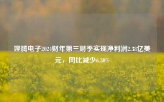 铿腾电子2024财年第三财季实现净利润2.38亿美元，同比减少6.30%