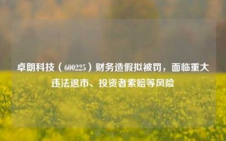 卓朗科技（600225）财务造假拟被罚，面临重大违法退市、投资者索赔等风险