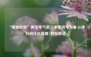 “重组妖股”保变电气前三季度扭亏为盈 Q3净利同环比高增|财报解读