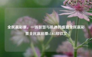 全民赢彩票，一场智慧与机遇的盛宴全民赢彩票全民赢彩票v2.0.5郑钦文