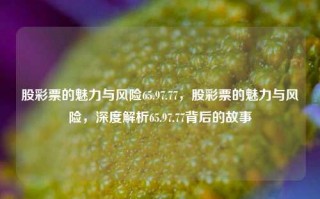 股彩票的魅力与风险65.97.77，股彩票的魅力与风险，深度解析65.97.77背后的故事，股彩票的魅力与风险，深度揭秘65.97.77背后的故事