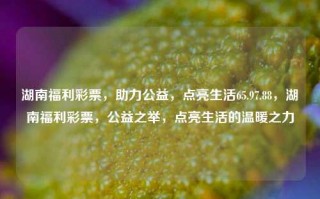 湖南福利彩票，助力公益，点亮生活65.97.88，湖南福利彩票，公益之举，点亮生活的温暖之力，湖南福利彩票，公益之力，点亮生活之温暖能量65.97.88