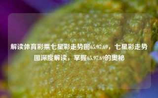 解读体育彩票七星彩走势图65.97.69，七星彩走势图深度解读，掌握65.97.69的奥秘，深度解读体育彩票七星彩走势图，掌握65.97.69的奥秘