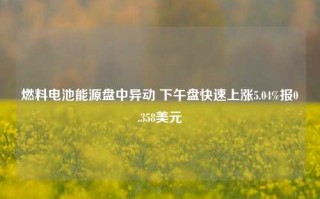 燃料电池能源盘中异动 下午盘快速上涨5.04%报0.358美元