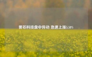 雾芯科技盘中异动 急速上涨5.58%