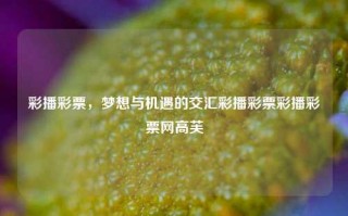 彩播彩票，梦想与机遇的交汇彩播彩票彩播彩票网高芙