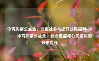 体育彩票公益金，造福社会与提升公民福利65.97.77，体育彩票公益金，社会造福与公民福利的双重提升，体育彩票公益金助力，助推社会福祉和提升公民福利待遇