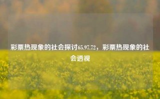 彩票热现象的社会探讨65.97.72，彩票热现象的社会透视，彩票热现象的社会透视