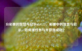 分彩票的智慧与启示65.97.72，彩票中的智慧与启示，如何理性参与并获得成功？，彩票智慧与启示，理性参与，走向成功之道