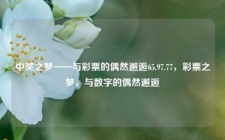 中奖之梦——与彩票的偶然邂逅65.97.77，彩票之梦，与数字的偶然邂逅，偶然的数字邂逅——中奖之梦与彩票的缘分之65.97.77