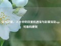 宝与彩票，人生中的双重机遇宝与彩票宝彩app可靠吗康妮