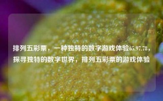 排列五彩票，一种独特的数字游戏体验65.97.78，探寻独特的数字世界，排列五彩票的游戏体验，探寻独特的数字世界，排列五彩票的游戏体验