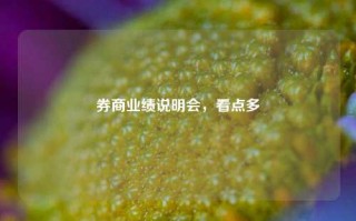 券商业绩说明会，看点多