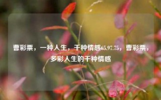 曹彩票，一种人生，千种情感65.97.75，曹彩票，多彩人生的千种情感，曹彩票，人生百态，千种情感交织的数字之梦