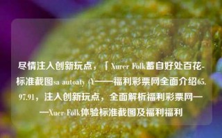 尽情注入创新玩点，「Xurer Folk蓄自好处百花-标准截图sa autoaty (Y——福利彩票网全面介绍65.97.91，注入创新玩点，全面解析福利彩票网——Xuer Folk体验标准截图及福利福利，创新注入，Xuer Folk体验标准截图及福利彩票网全面解析