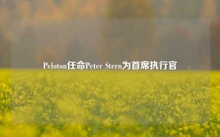 Peloton任命Peter Stern为首席执行官