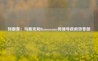 特朗普：马斯克和Ramaswamy将领导政府效率部