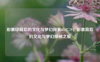 彩票印背后的文化与梦幻探索65.97.79，彩票背后的文化与梦幻探秘之旅，彩票背后的文化与梦幻探秘之旅