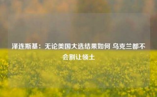 泽连斯基：无论美国大选结果如何 乌克兰都不会割让领土