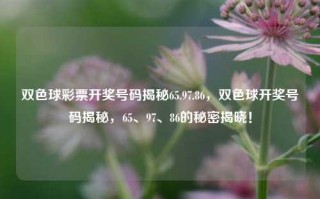 双色球彩票开奖号码揭秘65.97.86，双色球开奖号码揭秘，65、97、86的秘密揭晓！，双色球揭秘，开奖号码65.97.86背后的秘密