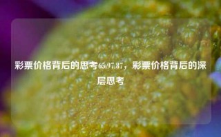 彩票价格背后的思考65.97.87，彩票价格背后的深层思考，彩票价格背后的深层思考，65.97.87的启示