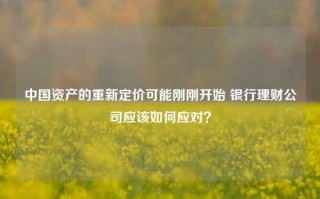 中国资产的重新定价可能刚刚开始 银行理财公司应该如何应对？