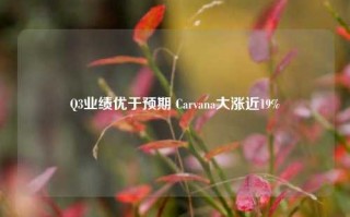 Q3业绩优于预期 Carvana大涨近19%