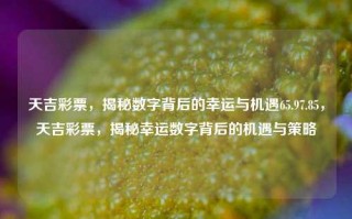 天吉彩票，揭秘数字背后的幸运与机遇65.97.85，天吉彩票，揭秘幸运数字背后的机遇与策略，揭秘天吉彩票的幸运与策略，数字背后的机遇与风险。，既包含了您提供的内容要点，又强调了彩票的机遇与风险，希望符合您的要求。