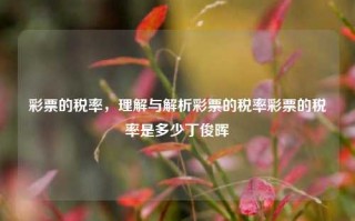 彩票的税率，理解与解析彩票的税率彩票的税率是多少丁俊晖