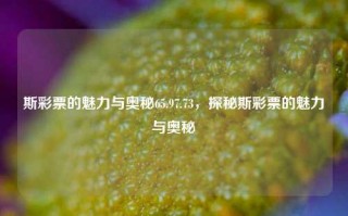 斯彩票的魅力与奥秘65.97.73，探秘斯彩票的魅力与奥秘，斯彩票的魅力与奥秘揭秘，65.97.73背后的奥秘