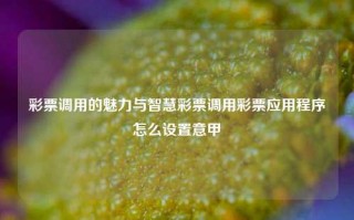 彩票调用的魅力与智慧彩票调用彩票应用程序怎么设置意甲