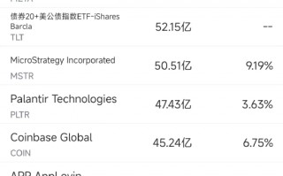 11月8日美股成交额前20：特斯拉本周大涨29%，马斯克或加入特朗普政府