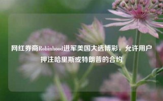 网红券商Robinhood进军美国大选博彩，允许用户押注哈里斯或特朗普的合约