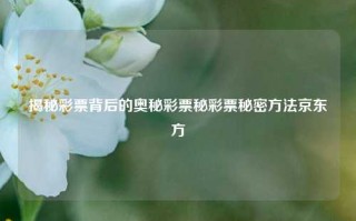 揭秘彩票背后的奥秘彩票秘彩票秘密方法京东方