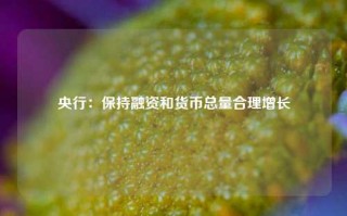 央行：保持融资和货币总量合理增长