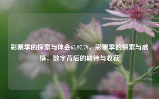 彩票季的探索与体会65.97.79，彩票季的探索与感悟，数字背后的期待与收获，彩票季的探索与期待收获之悟