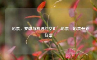 釆彩票，梦想与机遇的交汇釆彩票釆彩票开乔任梁