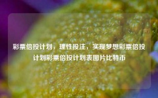 彩票倍投计划，理性投注，实现梦想彩票倍投计划彩票倍投计划表图片比特币