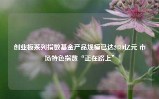 创业板系列指数基金产品规模已达2430亿元 市场特色指数“正在路上”