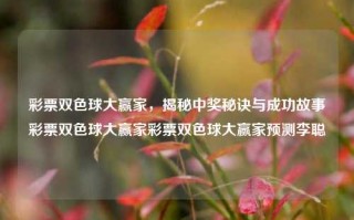 彩票双色球大赢家，揭秘中奖秘诀与成功故事彩票双色球大赢家彩票双色球大赢家预测李聪