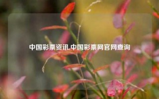 中国彩票资讯,中国彩票网官网查询