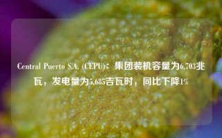 Central Puerto S.A. (CEPU)：集团装机容量为6,703兆瓦，发电量为5,685吉瓦时，同比下降1%