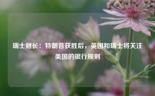 瑞士财长：特朗普获胜后，英国和瑞士将关注美国的银行规则