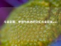 斗金彩票，梦想与机遇的交汇斗金彩票mbti