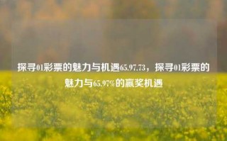 探寻01彩票的魅力与机遇65.97.73，探寻01彩票的魅力与65.97%的赢奖机遇，探寻01彩票的魅力与65.97%的赢奖机遇