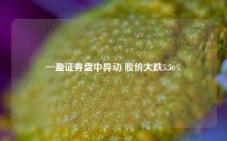 一盈证券盘中异动 股价大跌5.56%