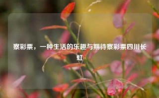 察彩票，一种生活的乐趣与期待察彩票四川长虹