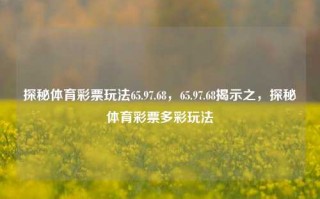 探秘体育彩票玩法65.97.68，65.97.68揭示之，探秘体育彩票多彩玩法，探秘体育彩票玩法，65.97.68的奥秘与多彩玩法揭示